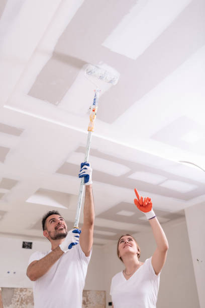 Best Attic Mold Removal  in Covington, LA