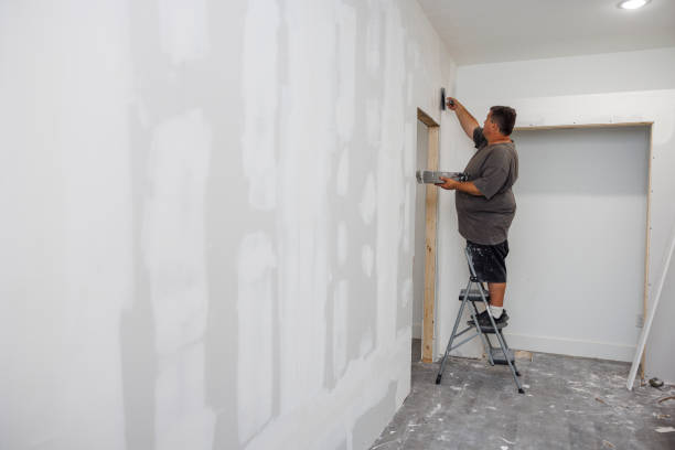 Best Mold Damage Restoration  in Covington, LA